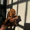 Cocker spaniel thumb 0