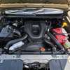 Local unit isuzu Dmax cab thumb 8