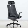 Executive Chairs : Larma Orthopedic Office Chair thumb 2