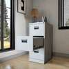 Cabinets : Metallic Office Storage Cabinet thumb 0