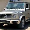 2019 Mercedes Benz G350d thumb 6