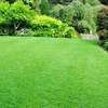 Expert Lawn Mowing & Garden Maintenance Limuru Tigoni thumb 0