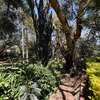 5 Bed House with En Suite at Kanjata Road thumb 5