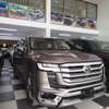 Land Cruiser LC300 thumb 2