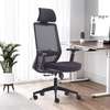Office Chairs:Ergonomic High-Back Office Chair In Suneka thumb 1