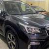 SUBARU SKE E BOXER AWD 2018model thumb 4