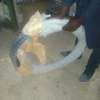 wall top electric fencing installation in kenya thumb 3