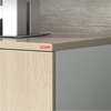 Office cabinets: Wooden Double Door Storage Cabinet thumb 1
