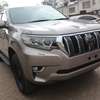 Toyota Landcruiser Prado TX-L 2019 18,000 Kms thumb 0
