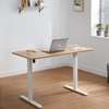 Standing Desks : Adjustable Electric Standing Desk thumb 0