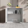 Office Cabinet; 2-Door Metal Filing Cabinet thumb 2