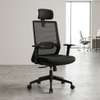 Office Chairs:Ergonomic High-Back Office Chair In Suneka thumb 5