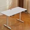 Height Adjustable Electric Office Desk thumb 8