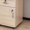Storage Cabinets: Moveable Lumber Office Storage Cabinet thumb 2