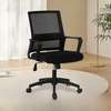 Ergonomic Mesh Office Desk Chair thumb 0