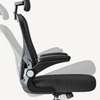 Office Chairs: Back Support Mesh Seat thumb 2