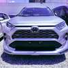 Toyota RAV4 ADVENTURE 2019 silver thumb 0