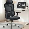 Office Chair;Orthopedic Highback Office Chair thumb 0