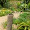 Landscaping & Gardening Services Kitisuru thumb 12