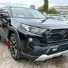 TOYOTA RAV4 ADVENTURE 2019MODEL SUNROOF thumb 1