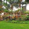 Hire Gardeners in Nairobi | Professional, Vetted & Reliable thumb 4