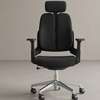 Executive Chairs : Orthopedic High-back Office Chair thumb 1