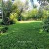 1.2 ac Land in Runda thumb 0