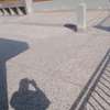 Terrazzo & Concrete Finishes Mombasa thumb 4