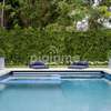Swimming Pool Repair & Maintenance Services in Mountain View thumb 4