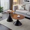 Nordic Solid Wood Coffee Table thumb 1
