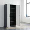 Cabinets : Full Door Office Storage Cabinet thumb 7