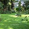 1.2 ac Land in Runda thumb 2