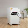 Fireproof Safes: 80 Kgs Diplomat Fireproof Safe In Kisii CBD thumb 2