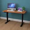 Electric Tables: 48 X 24 Inch Height Adjustable Table thumb 0