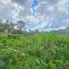 Residential Land in Runda thumb 1