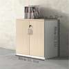 Office cabinets: Wooden Double Door Storage Cabinet thumb 3