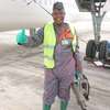 Pest Control and Fumigation Services Joska thumb 3