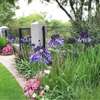 Gardening & Landscaping Services in Karen thumb 4