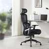 Orthopedic Executive Office Chair thumb 0