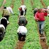Outsourced Facility Management Services in Nairobi thumb 2