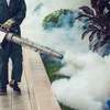 Pest Control & Fumigation Services in Nyeri and across Kenya thumb 5
