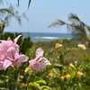 4 Bed Villa with En Suite at Watamu thumb 13