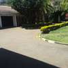Lovely 5 BR House plus Dsq in Karen thumb 10