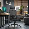 Ergonomic Home Office Chair thumb 6