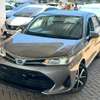 TOYOTA AXIO Compact Hatchback Gray Efficient City Car 2019 thumb 3