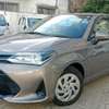 Toyota axio G grade 2019 Gold thumb 1