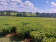 Land at Riara Ridge