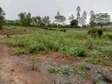 50*100ft plot at Kenol Kagia road in Murang'a county