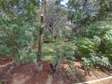 5 Bed House with En Suite at Muthaiga Garden