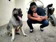 Best Dog Trainers in Kenya in 2022
